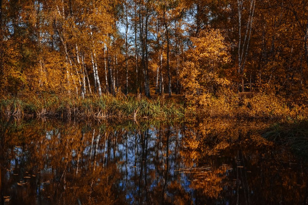 Photograph by Манушкина Зинаида