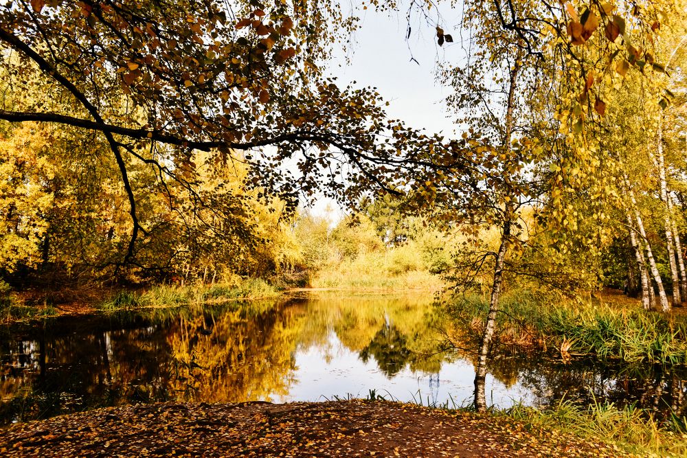 Photograph by Манушкина Зинаида