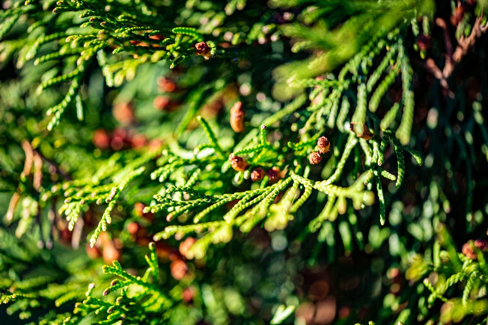 Photograph by Денис Гуляев