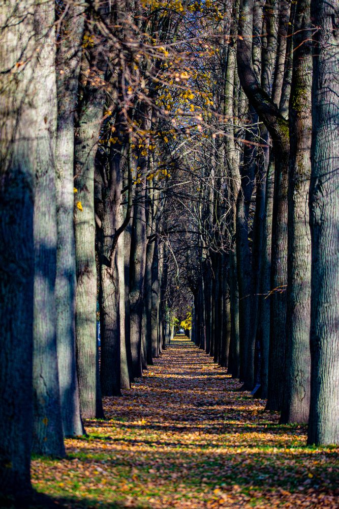 Photograph by Денис Гуляев