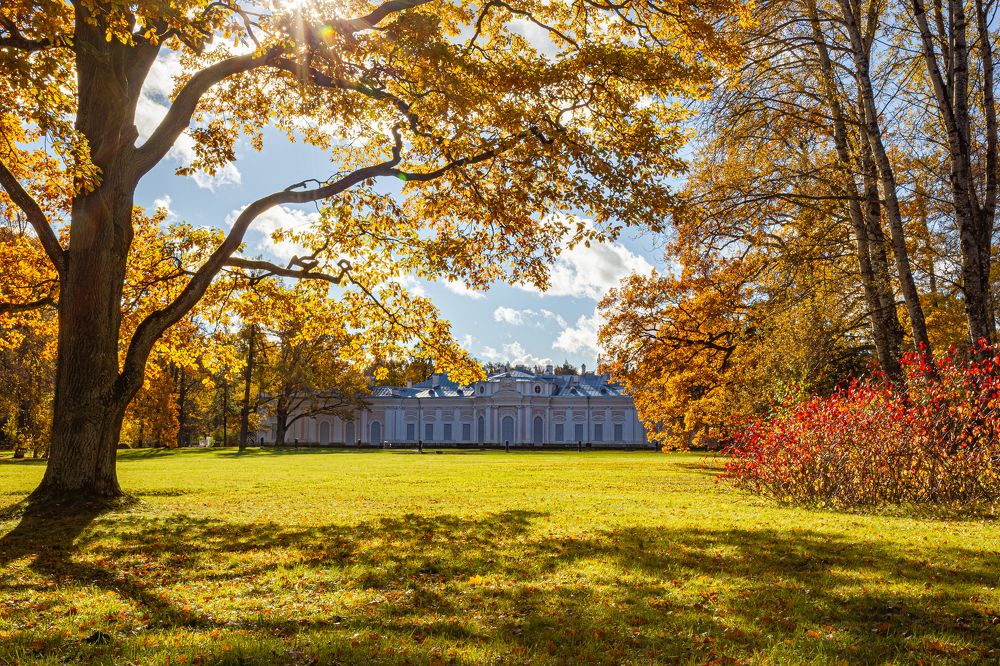 Фотография автора Евгений Лукьянов