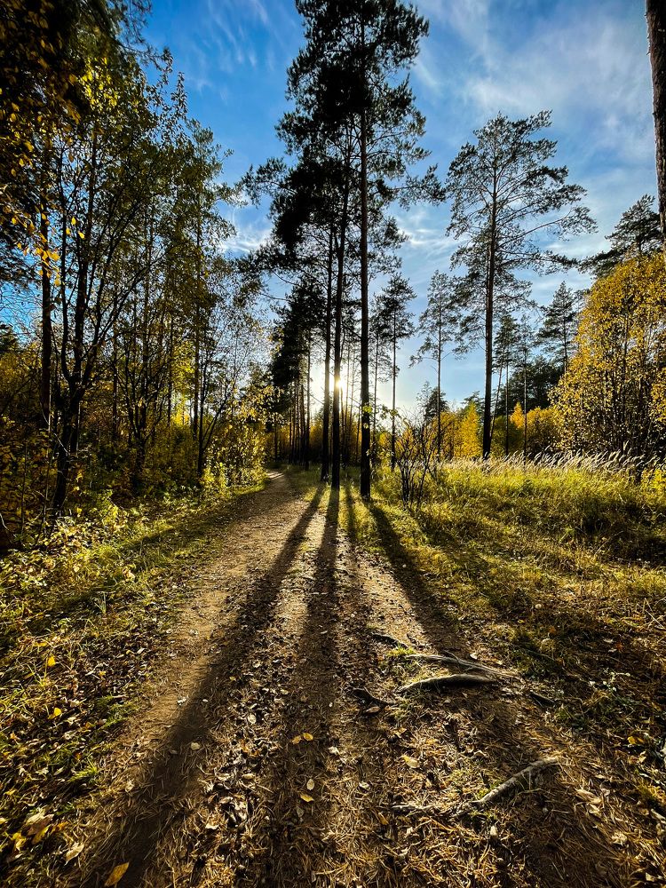 Фотография автора Рамзия Хисамутдинова