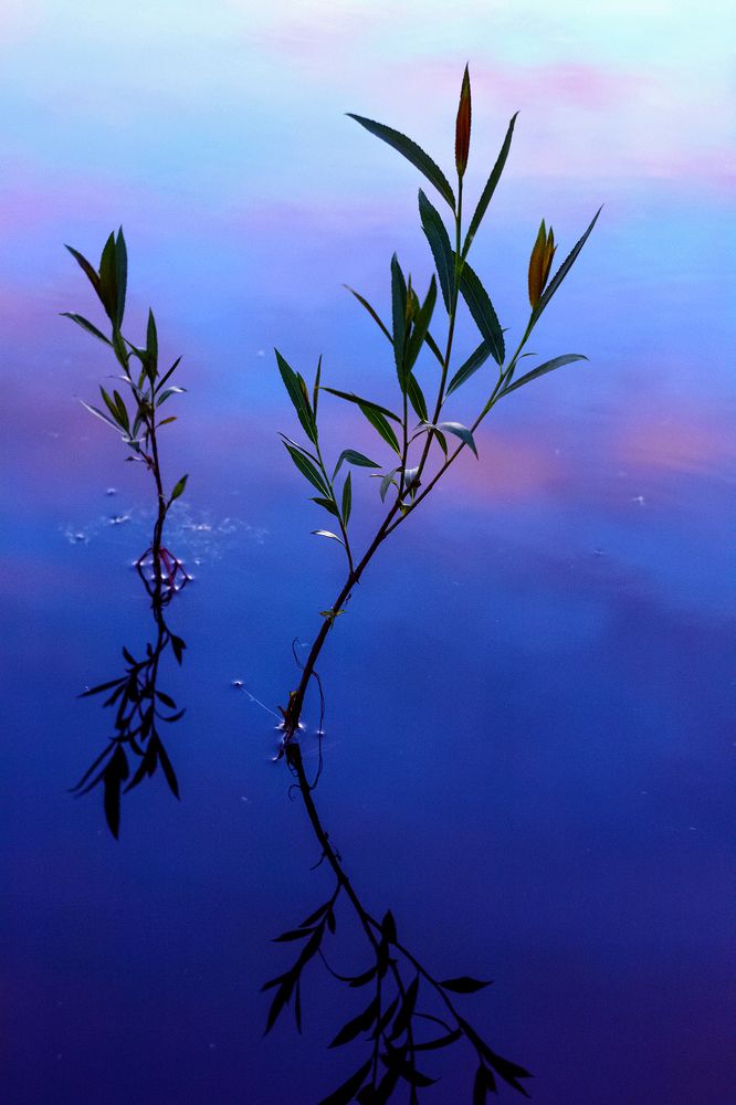 Photograph by Ольга Цветкова