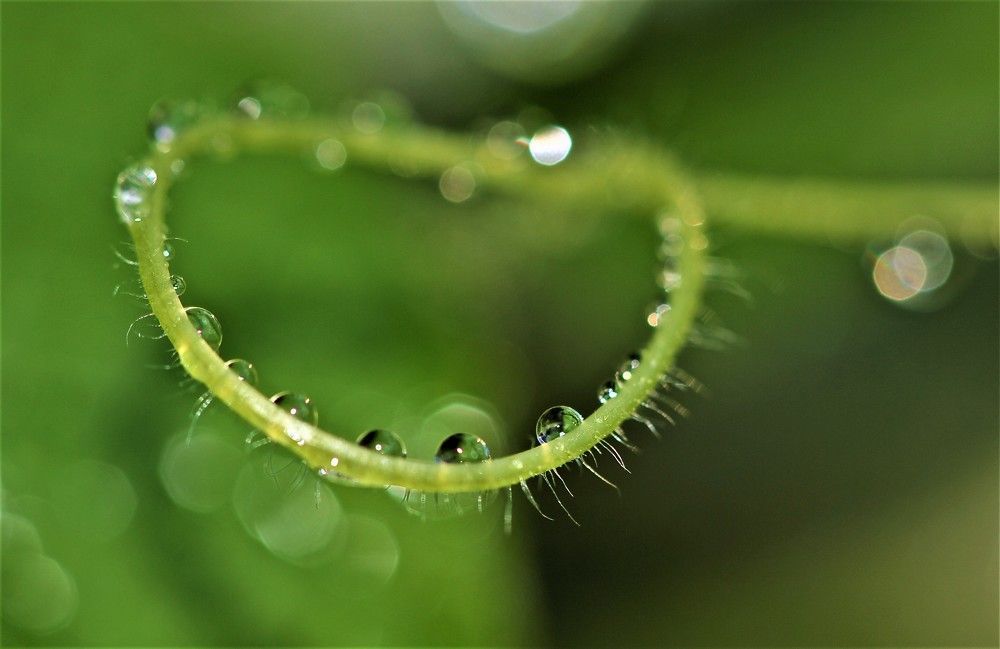 Photograph by НАТАЛЬЯ РОДИНА