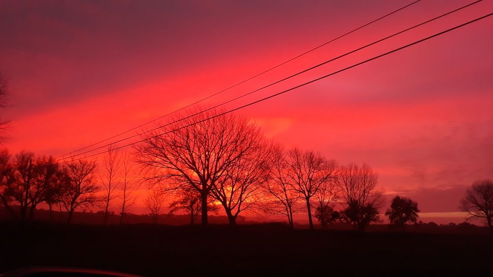 Photograph by Ferreira Francisco