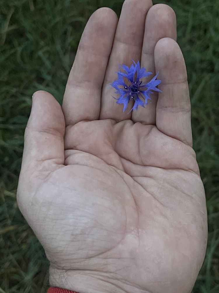 Photograph by Григорий Лыжин