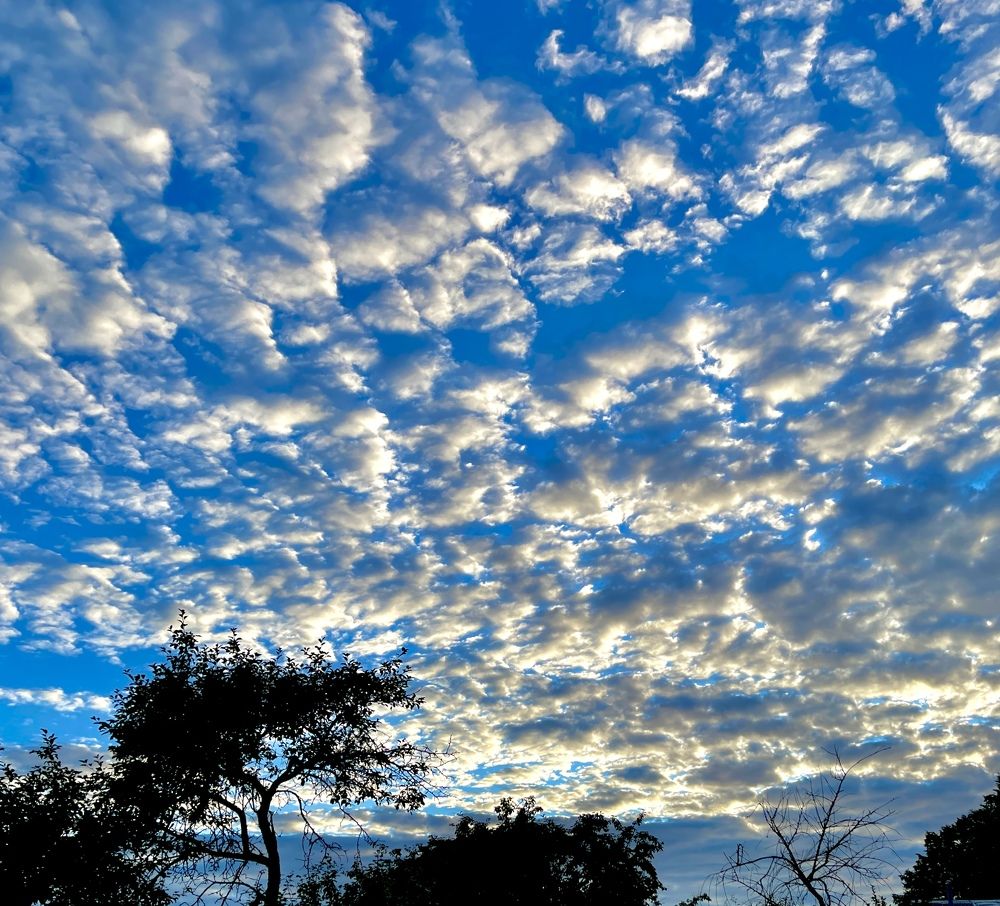 Photograph by Григорий Лыжин