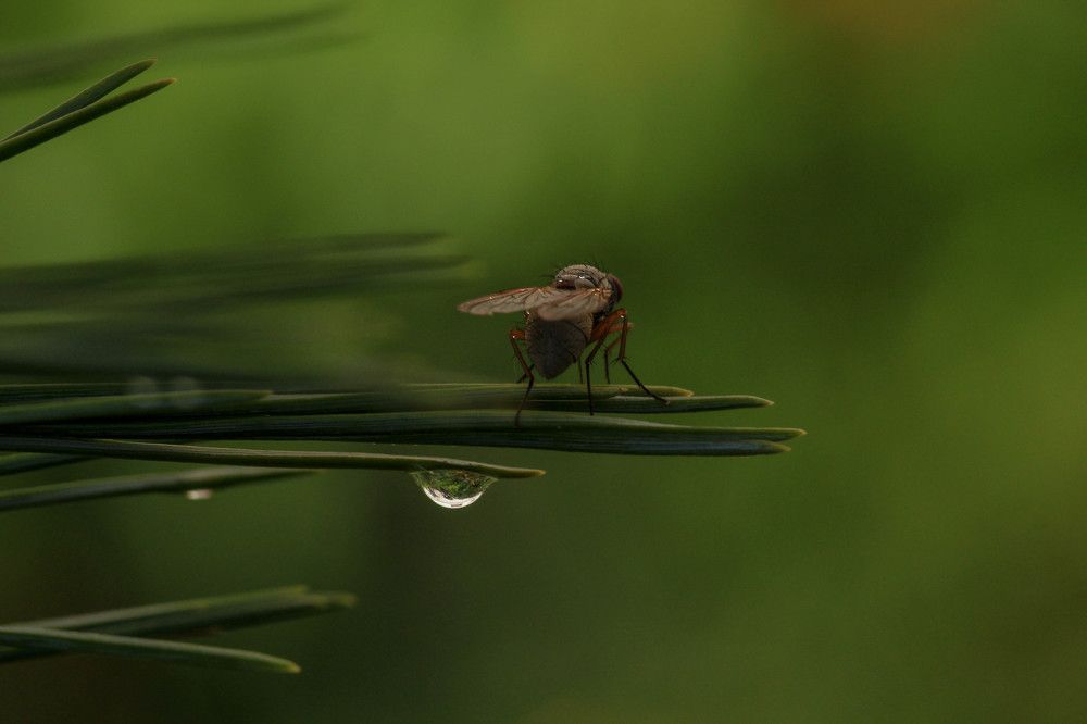 Photograph by Александр Трифанов