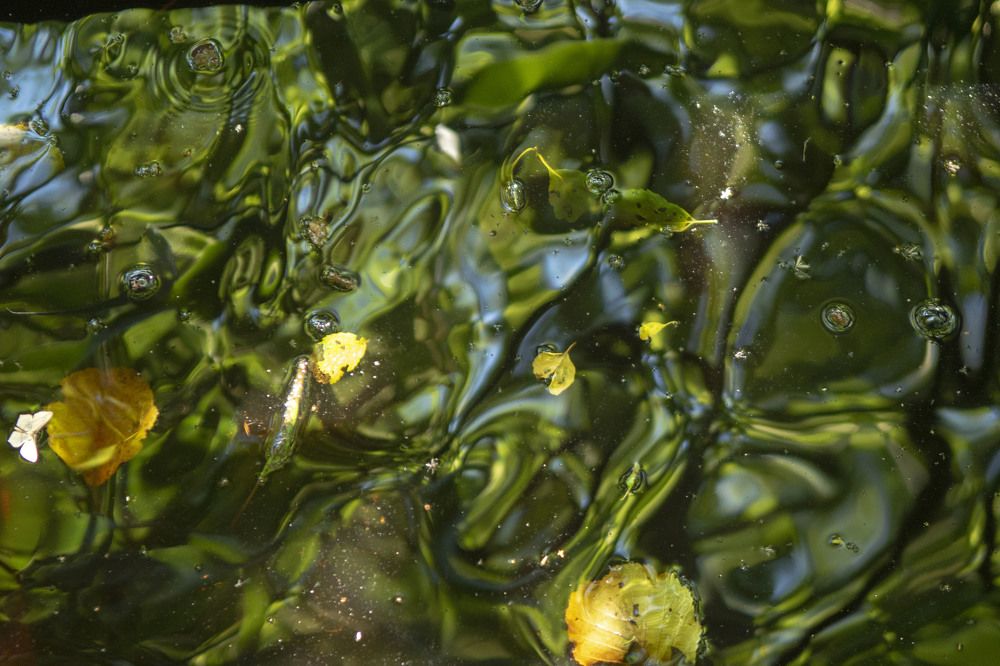 Photograph by Ilze Onzule