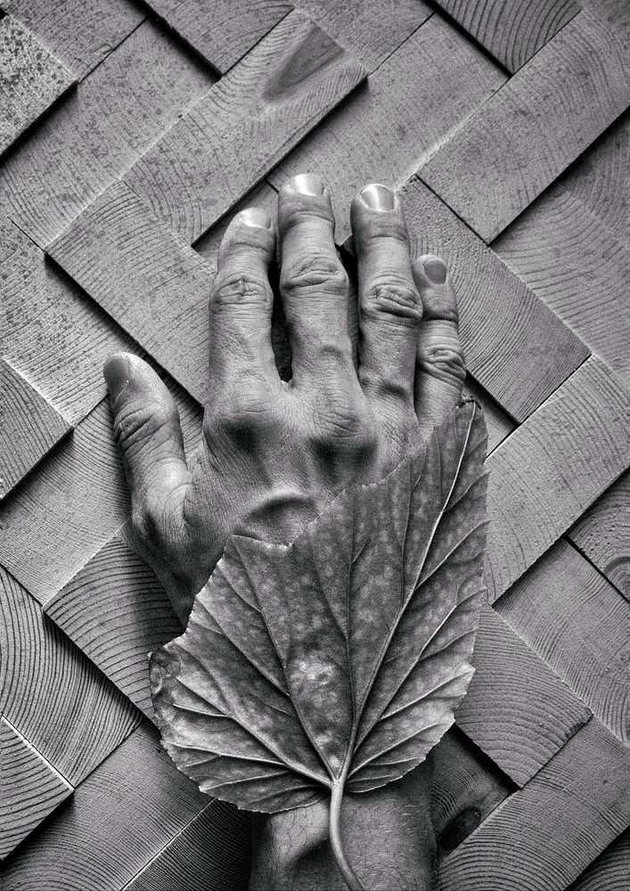 Photograph by Вячеслав Ригачин