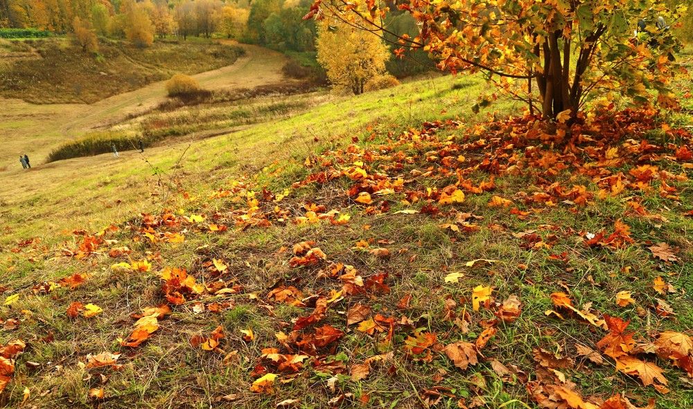 Photograph by Лада Денисова