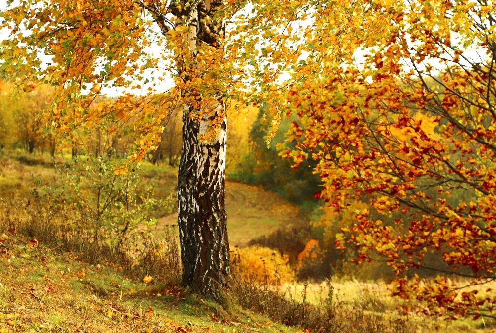 Photograph by Лада Денисова