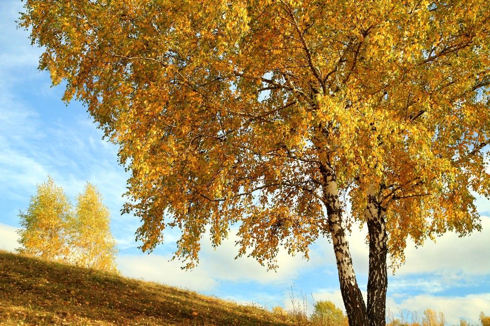 Photograph by Лада Денисова