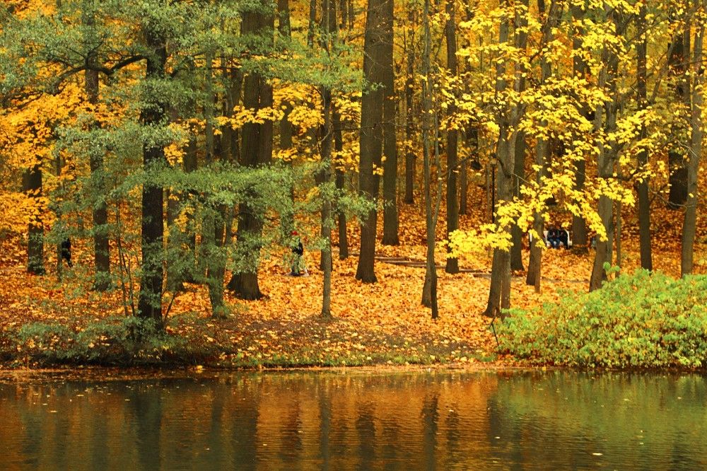 Photograph by Лада Денисова