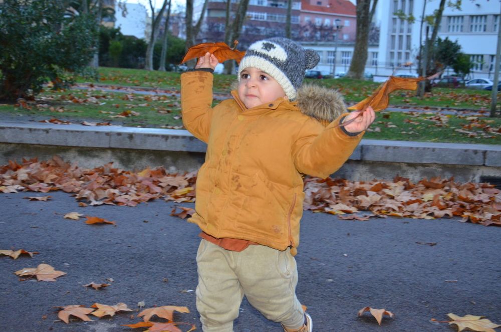 Photograph by Ferreira Francisco