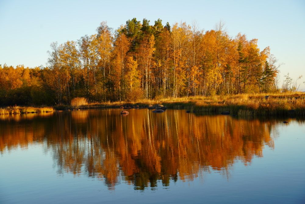 Фотография автора Юлия Овчинникова