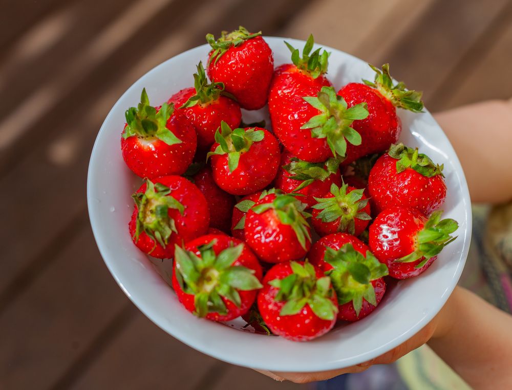 Photograph by Ольга Левакова