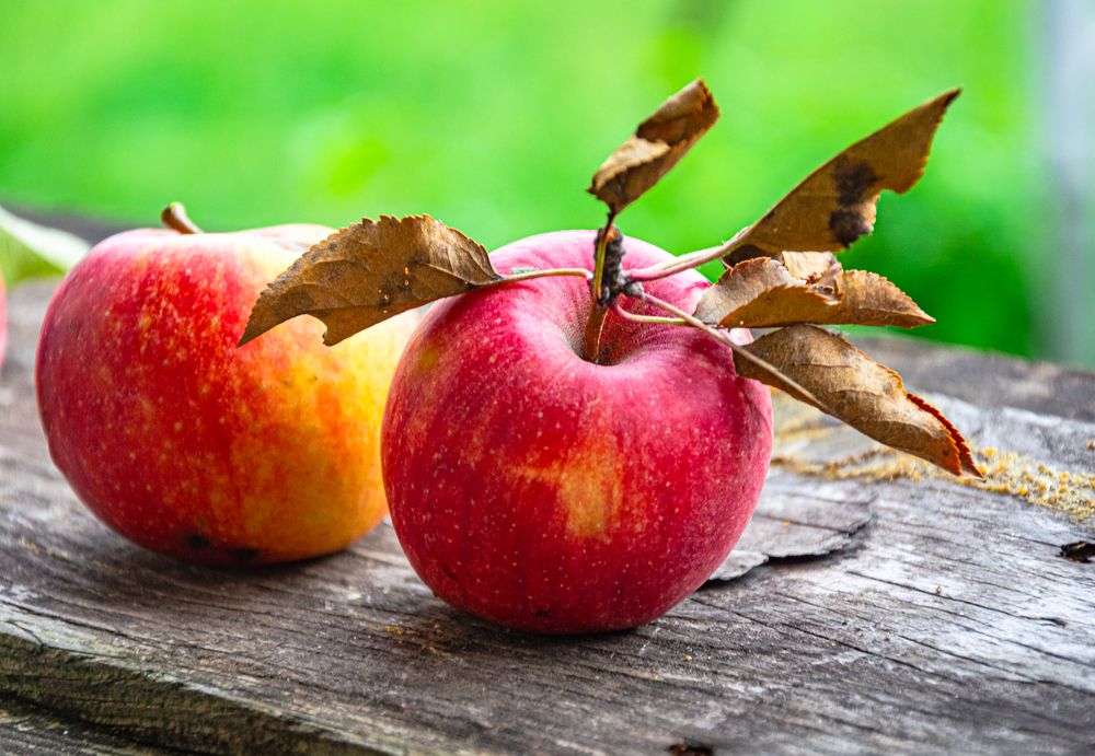 Photograph by Bohatyrov Yuri