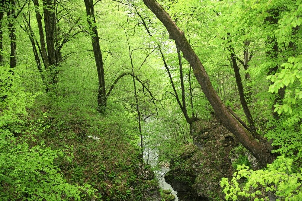 Photograph by Лада Денисова