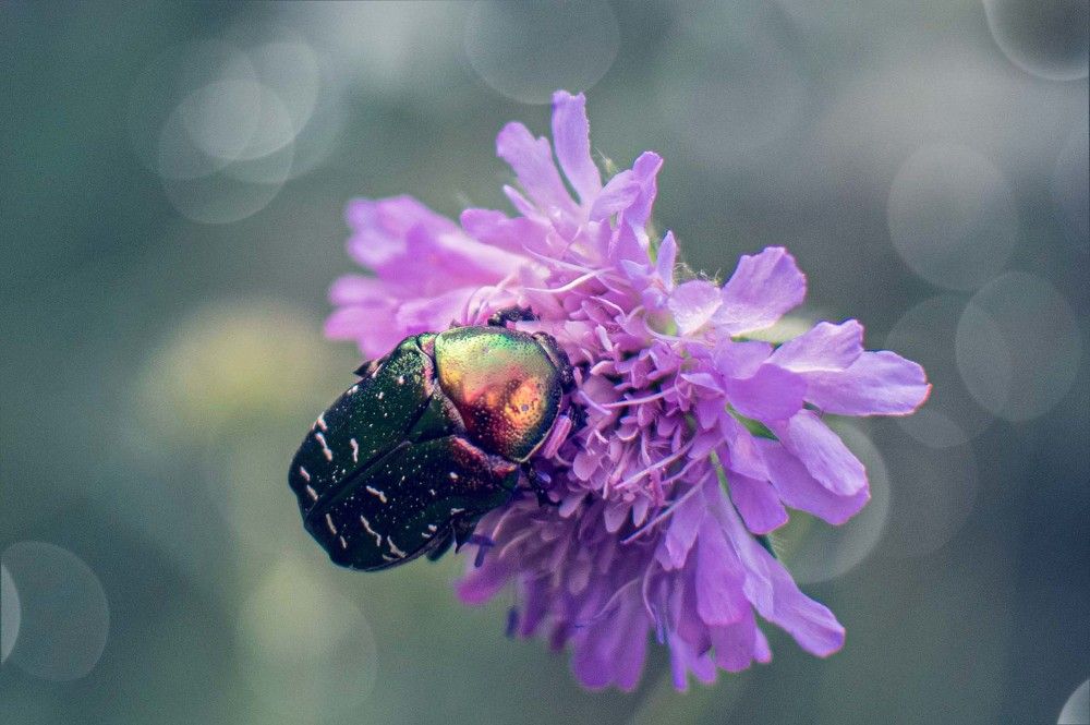 Photograph by Светлана Кочнева