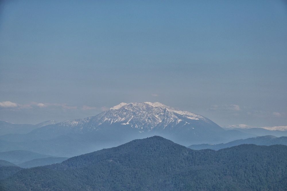 Photograph by Masoumeh Rahimi