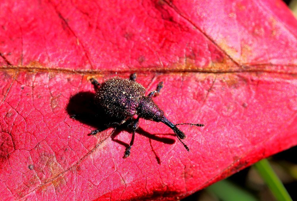 Photograph by Юрий Варюхин