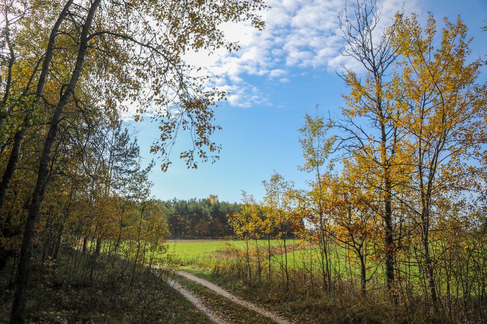 Photograph by Михаил Кинеев