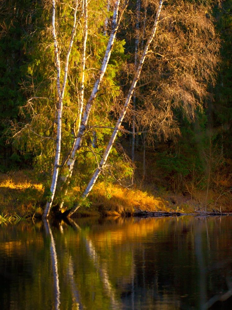 Photograph by Вячеслав Ригачин