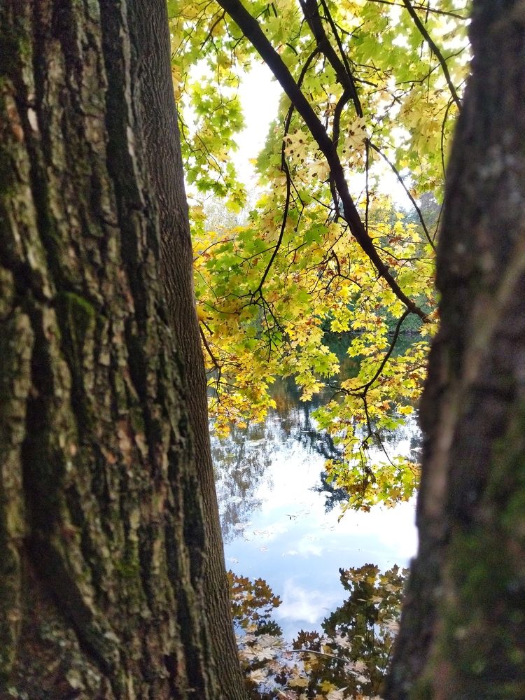 Фотография автора Ольга