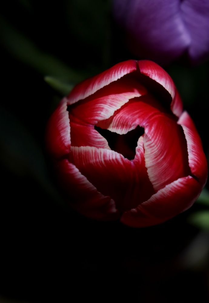 Photograph by Zhenya