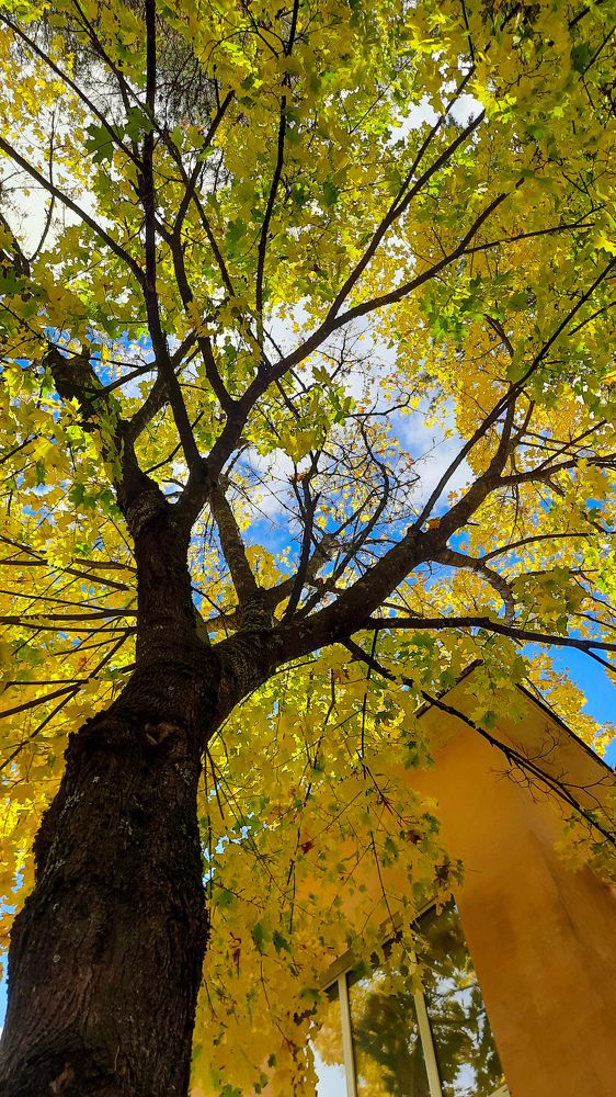 Photograph by Ольга Новоселова