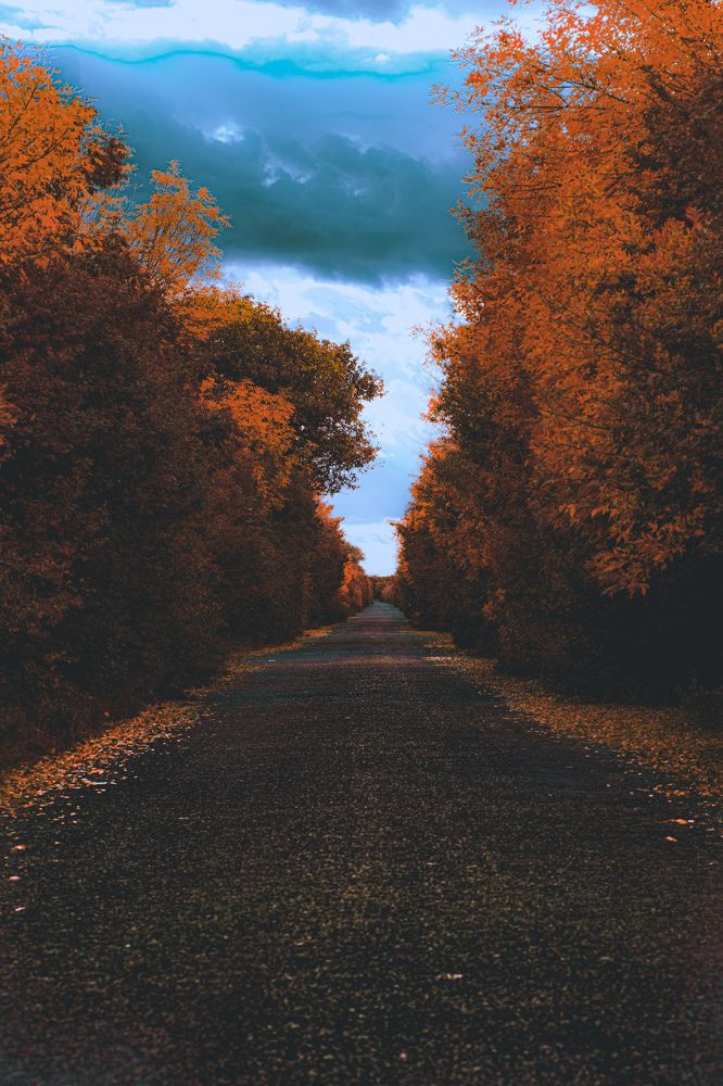 Photograph by Денис