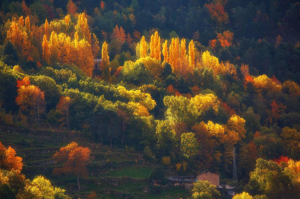 Фотография автора Рашид Усманов