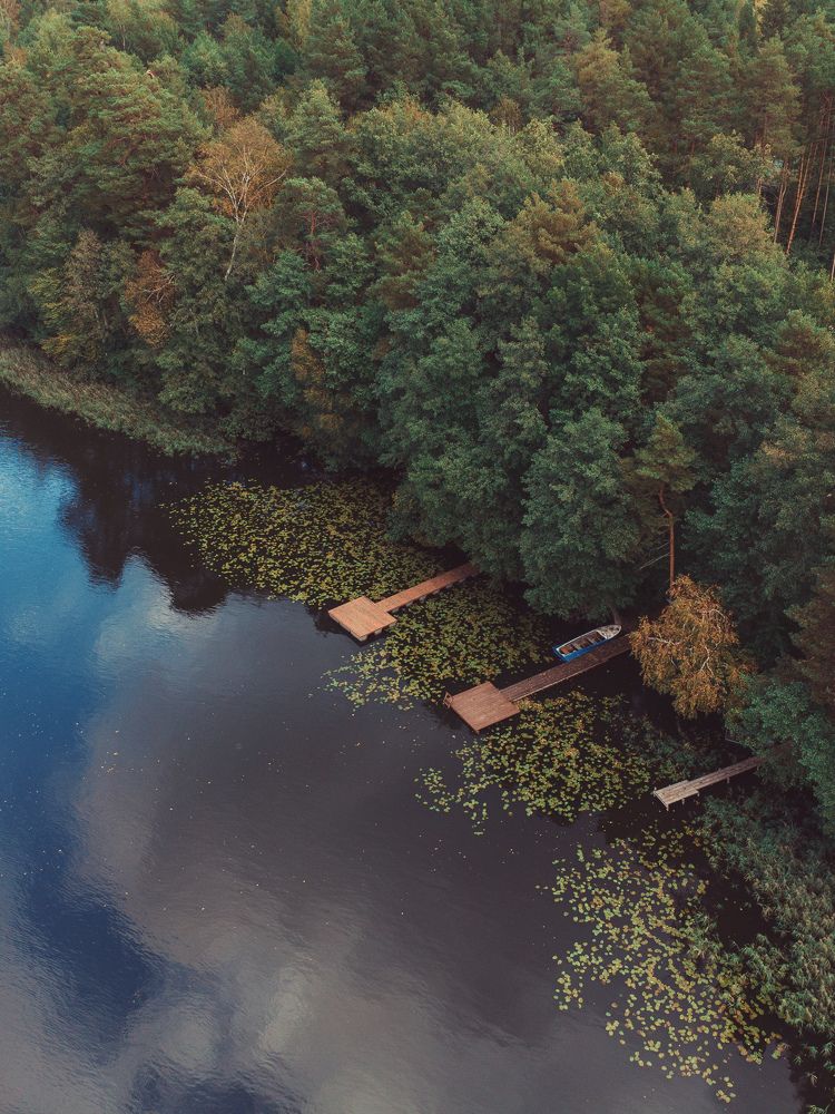Photograph by Владимир Васенев