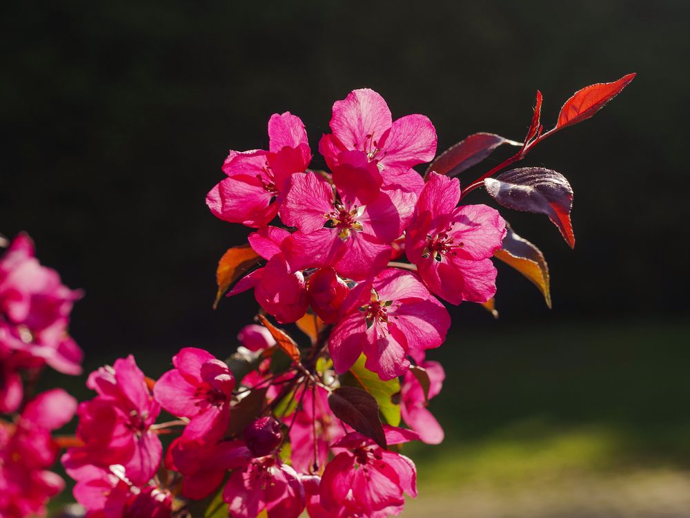 Photograph by Andrey Kuznetsov (Kant)