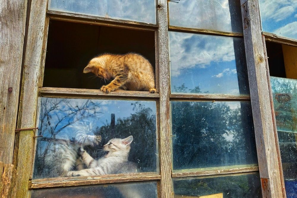 Photograph by Андрей Серый