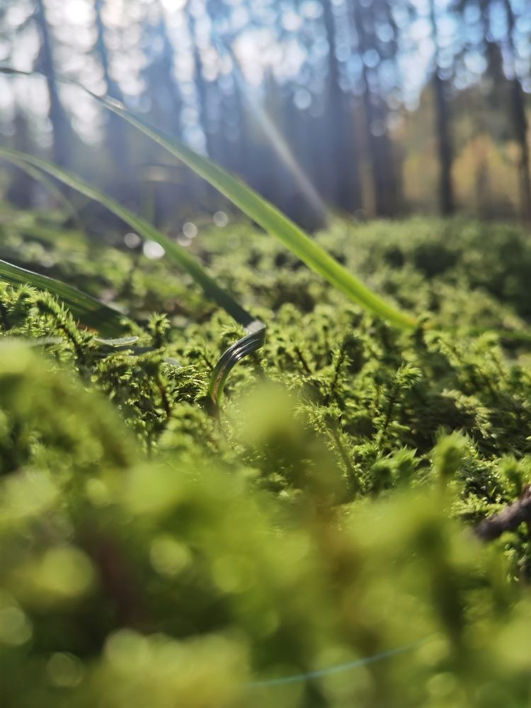 Photograph by Виолетта Юдина