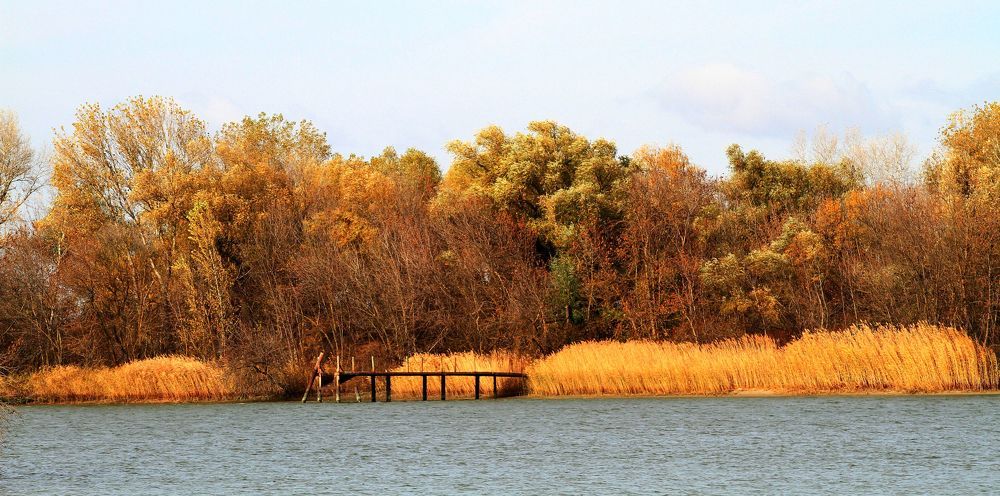 Photograph by Сергей Оплачко