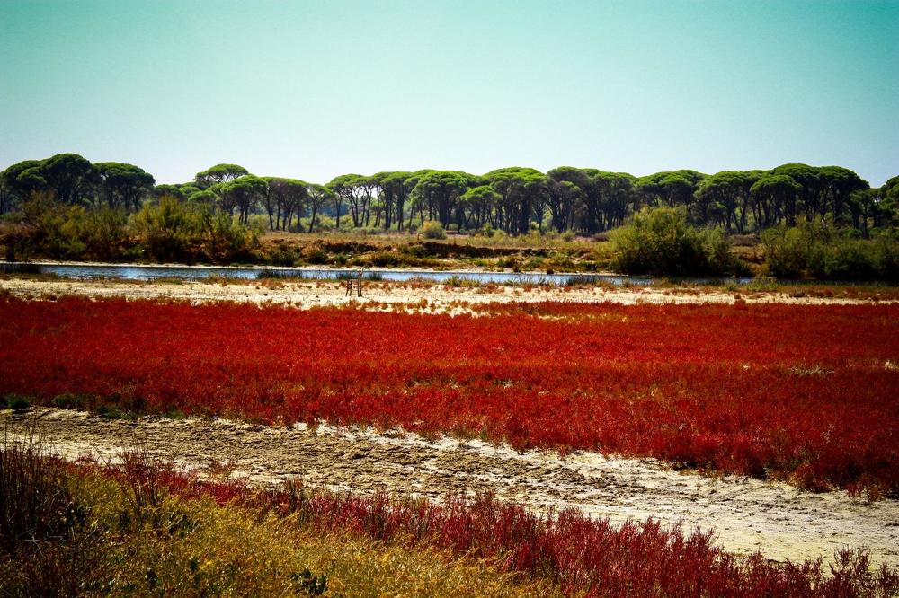 Photograph by Мария Корнилова