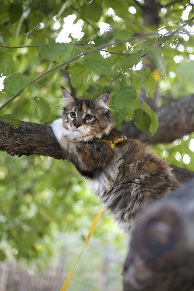 Photograph by Ирина Мамонова