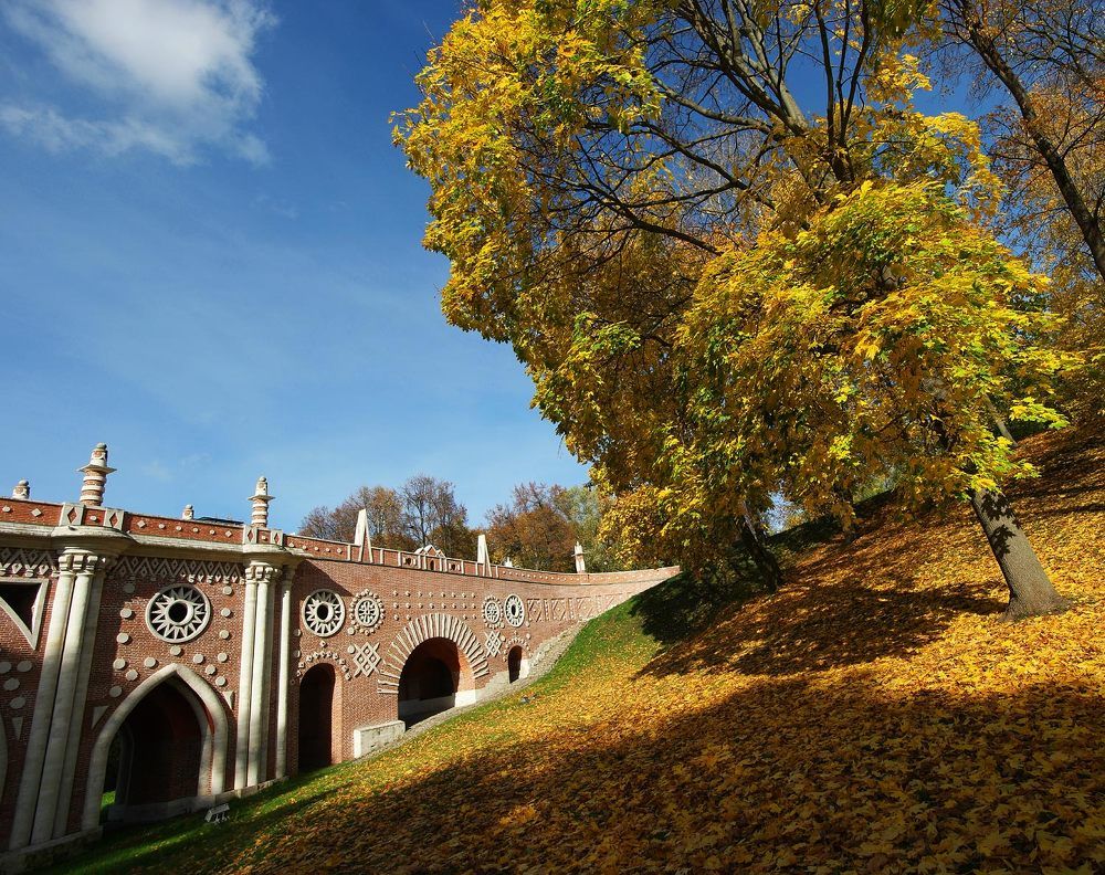 Photograph by Дмитрий Ткаченко