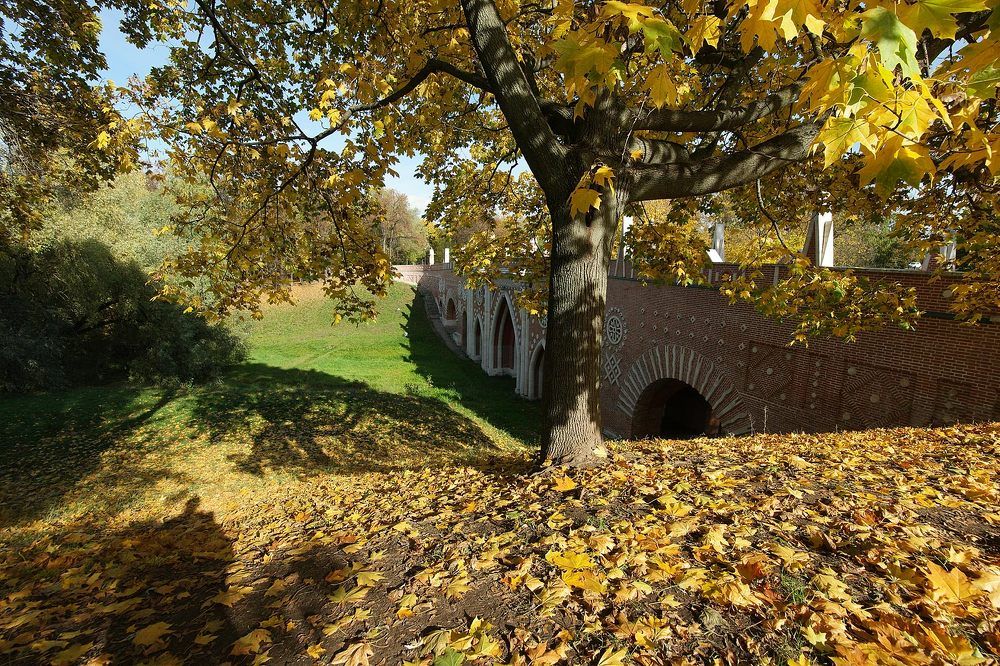 Photograph by Дмитрий Ткаченко