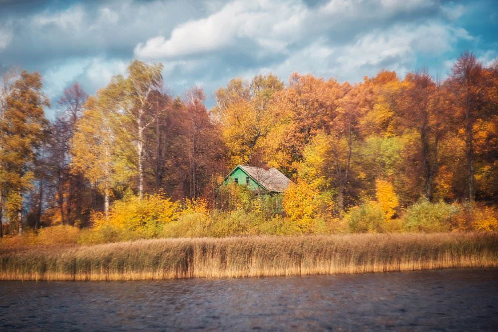 Photograph by Ксения Базарова