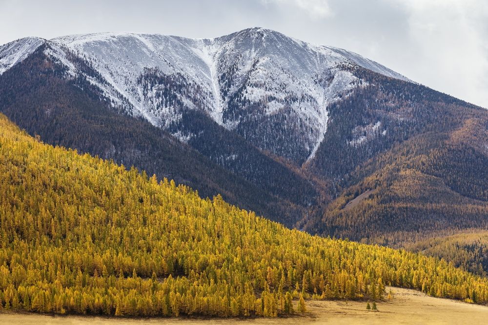 Photograph by Ярослав Лукьянов