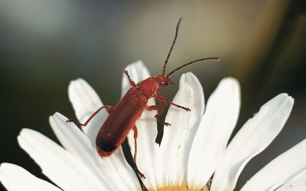 Photograph by Константин Власов