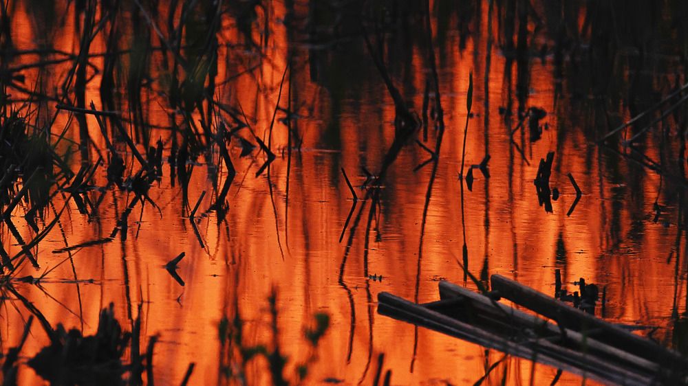 Photograph by Константин Власов