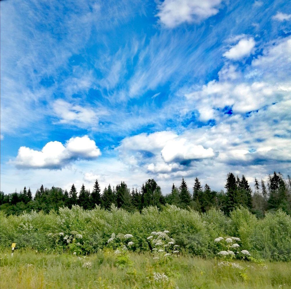 Photograph by Ольга Пришедько