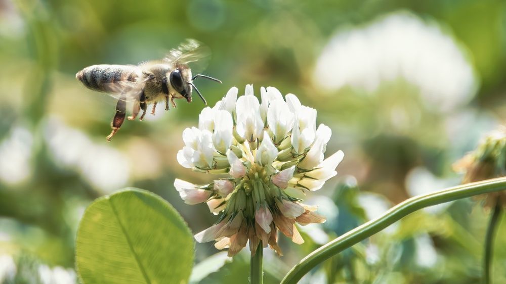 Photograph by Константин Власов