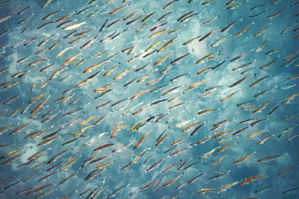 Photograph by Константин Власов