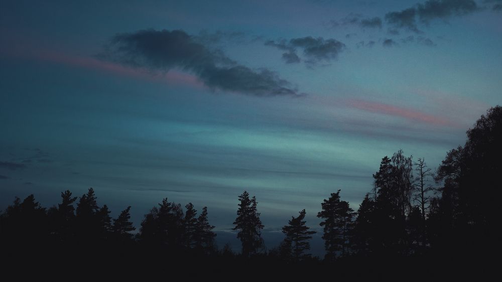 Photograph by Константин Власов